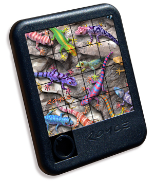 3D-lenticular-SP-Geckos