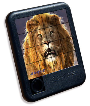 3D-lenticular-SP-Lion