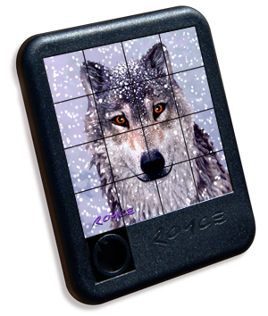 3D-lenticular-SP-Snow-Wolf