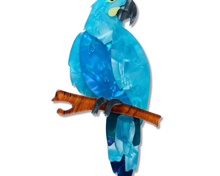 Glaucous Macaw