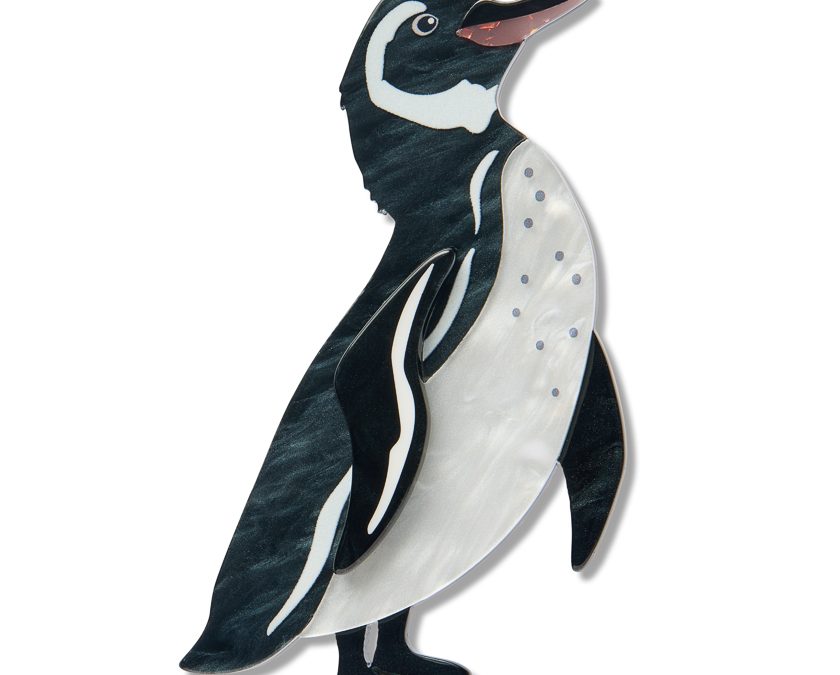 Galapogus Penguin