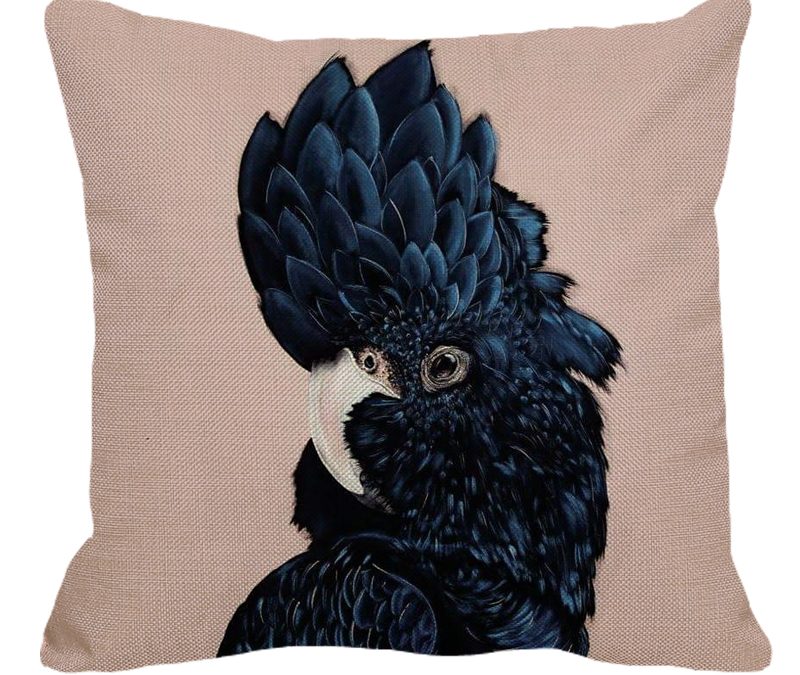 Black Cockatoo