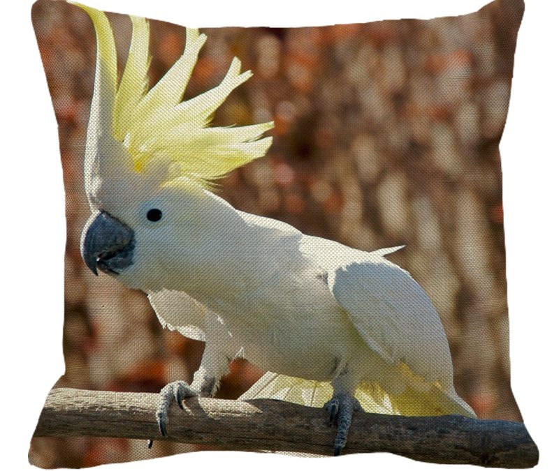 Cockatoo Crest