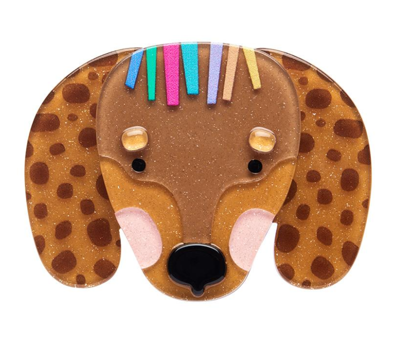 Darcy The Dachshund