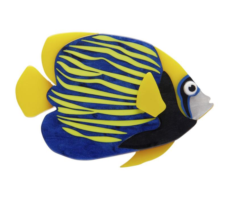 Emporer Angelfish