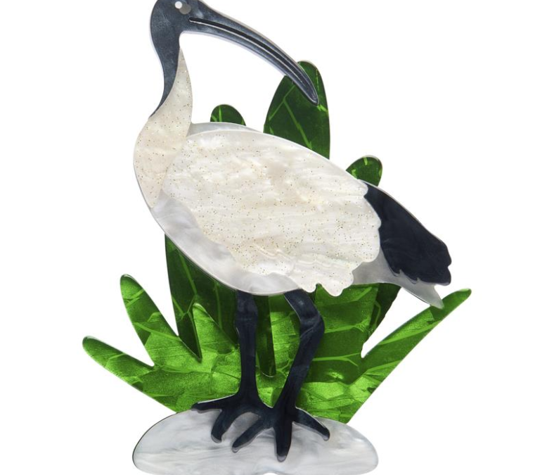 Izzy The Ibis