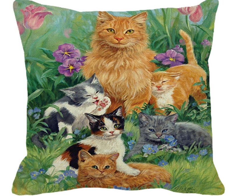 Kittens & Cats Galore
