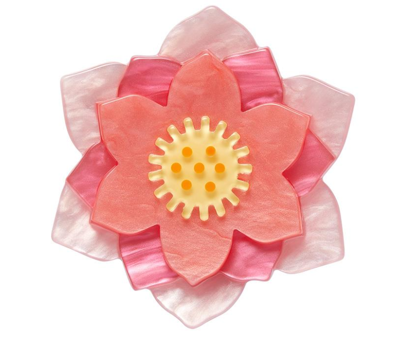 Lotus Rising