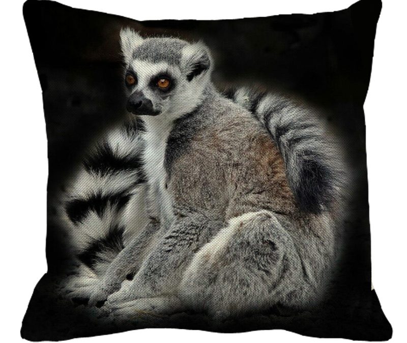 Lovely, Lovely Lemur