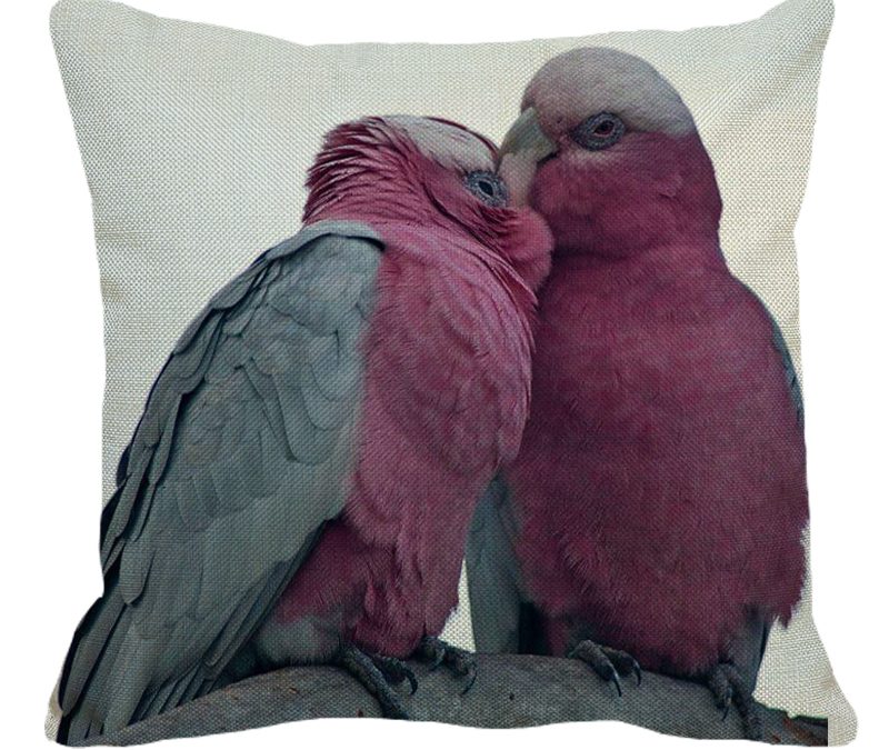 Lovey Dovey Gallahs