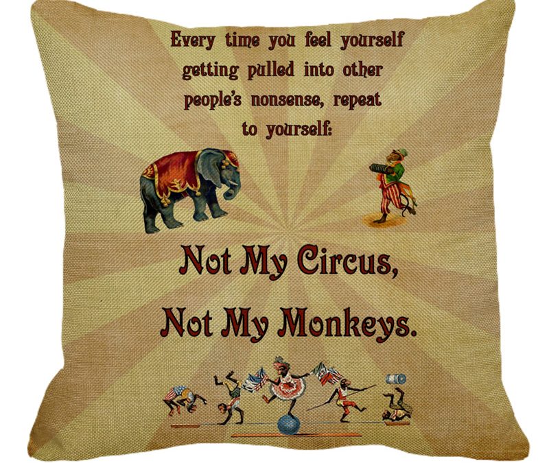 Not My Circus, Not My Monkees