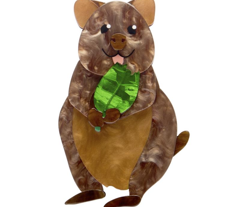 Quinn The Quokka