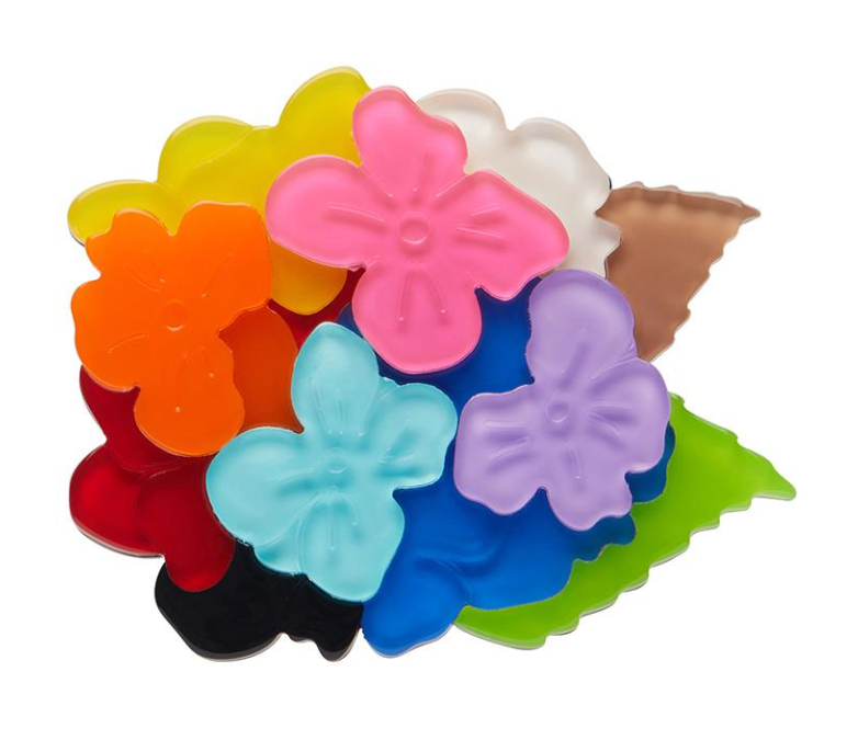 Rainbow Heartfelt Hydrangea