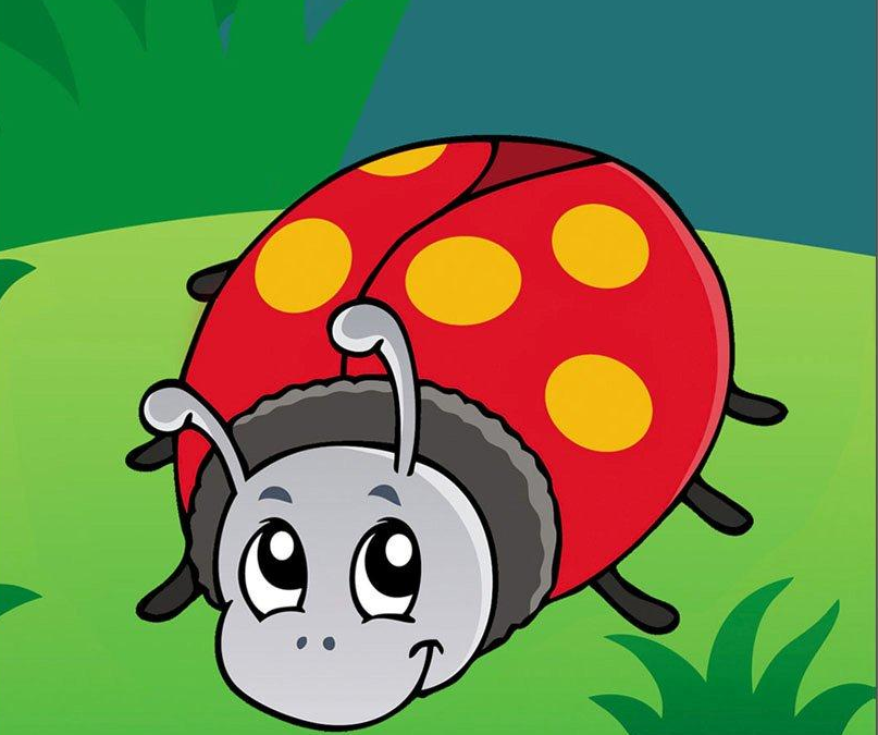 Smiling Ladybug