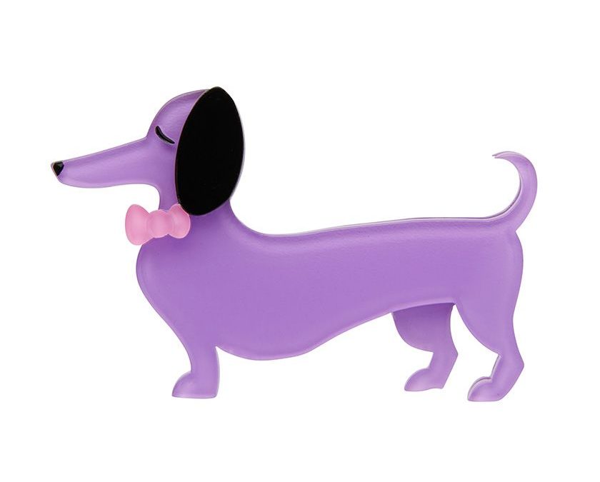 Spiffy The Sausage Dog 2020