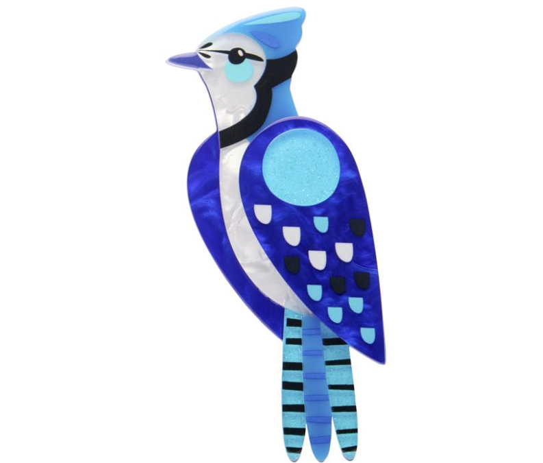 The Boisterous Blue Jay