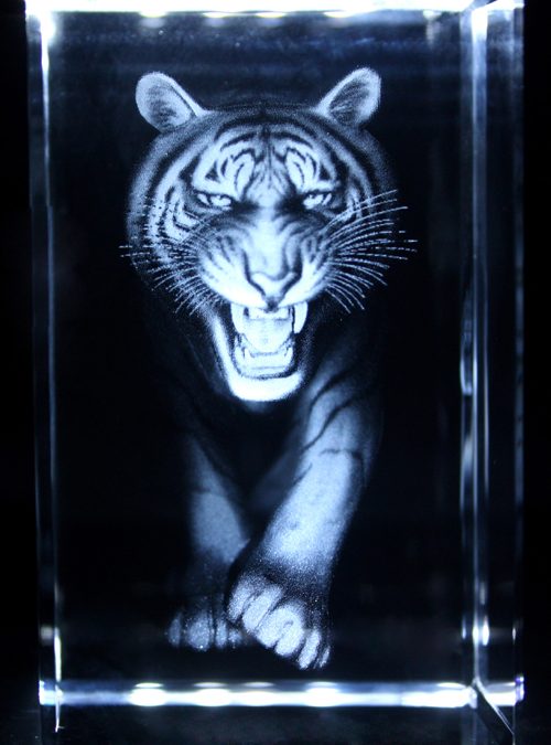 Attack Tiger