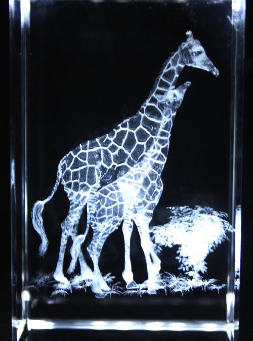 Giraffe