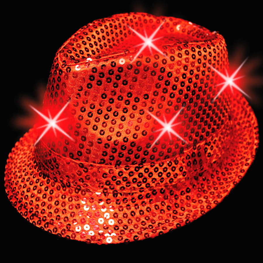 rec-led-sequined-5169054be56f6