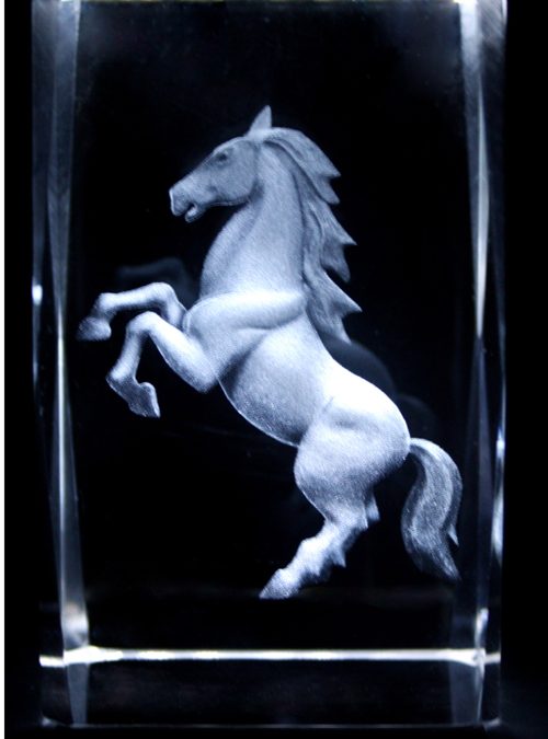 Stallion